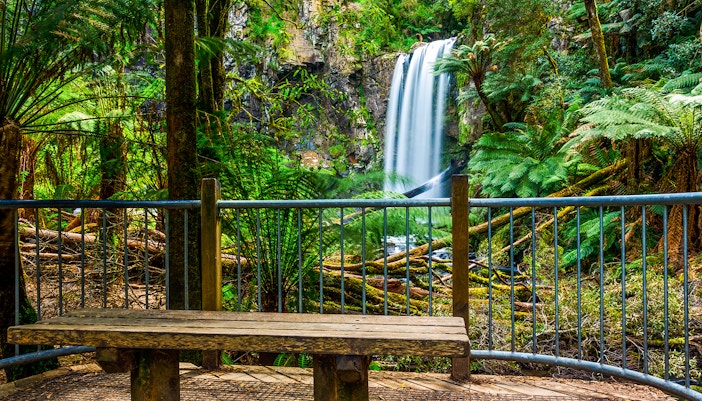 Hopetoun Falls cascading in Great Otway National Park, surrounded by lush greenery.