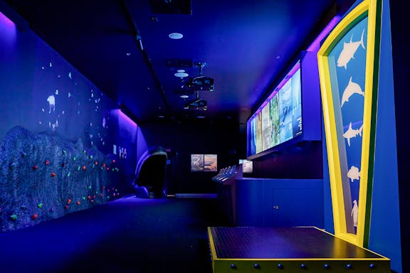 biglietti per l'acquario atlantis di madrid: salta la coda-5