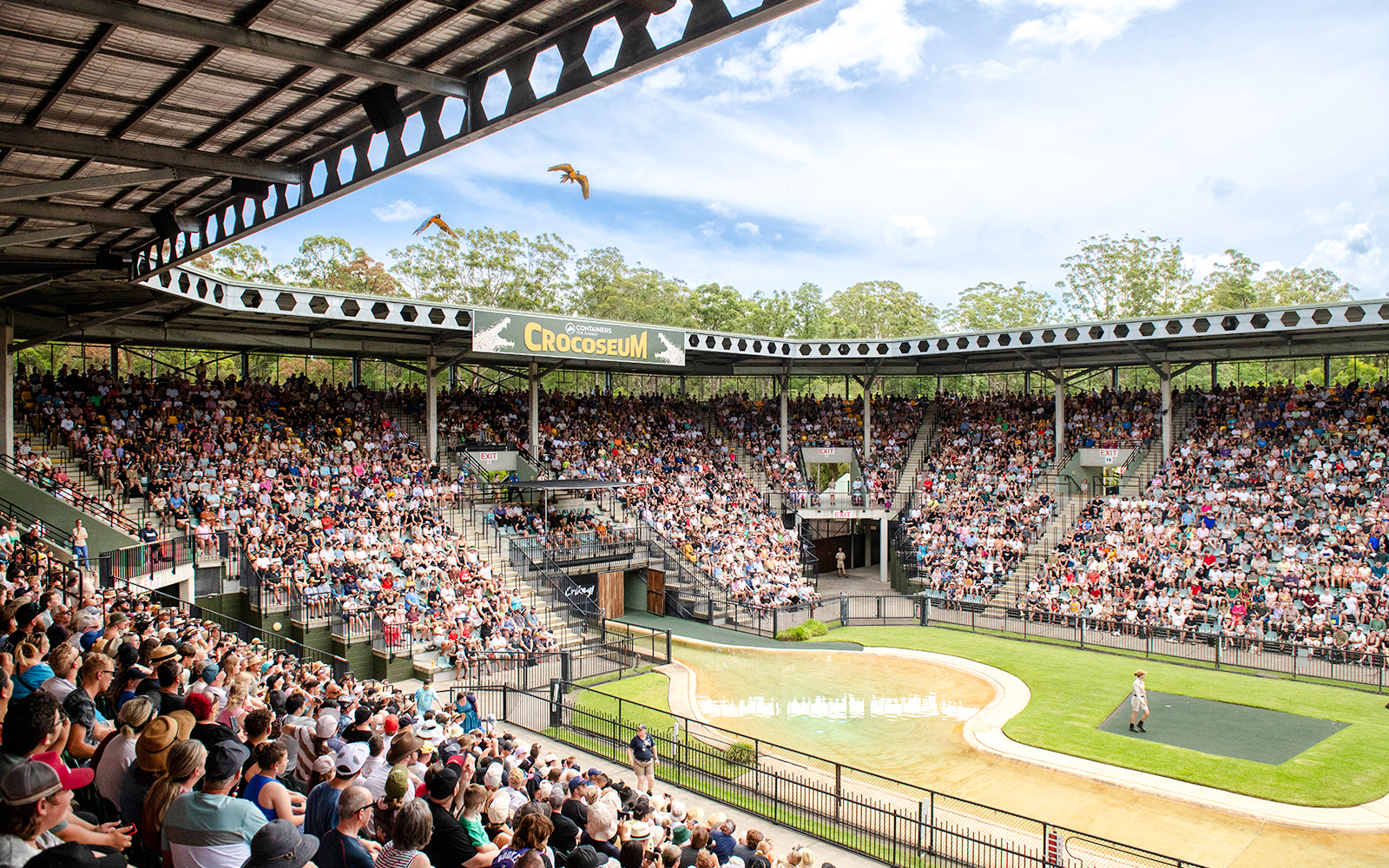 Crowd watching a wildlife show at the Crocoseum in Australia Zoo.