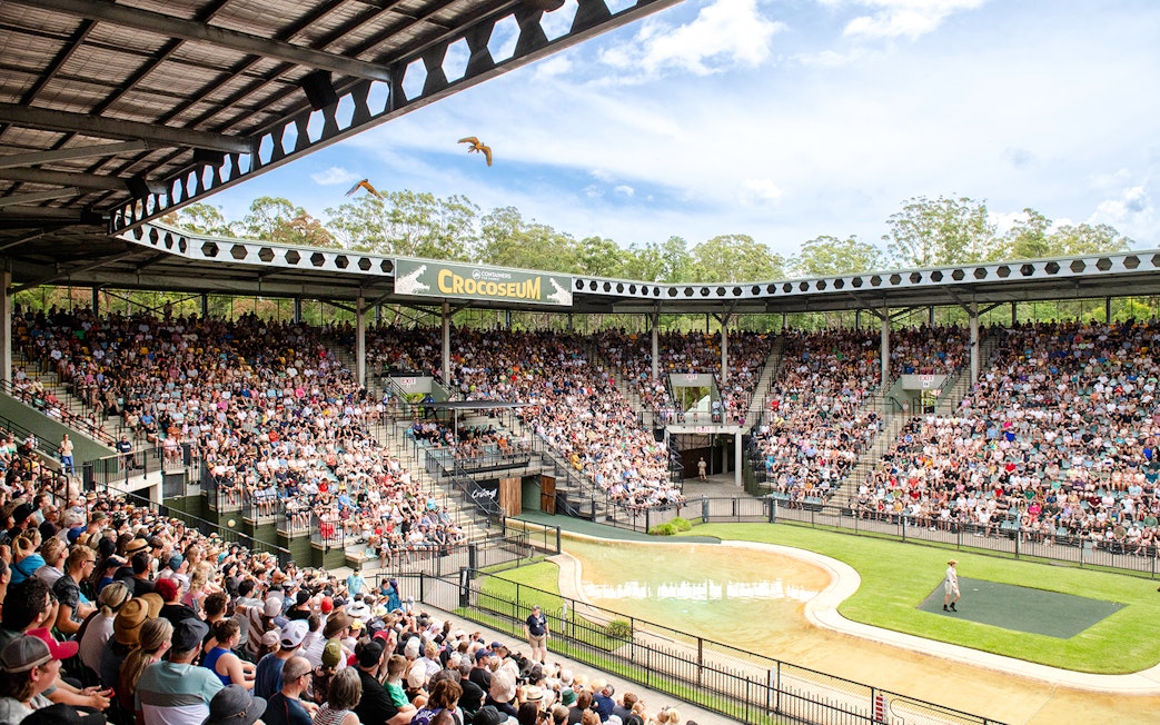 Crowd watching a wildlife show at the Crocoseum in Australia Zoo.