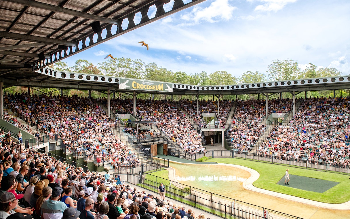 Crowd watching a wildlife show at the Crocoseum in Australia Zoo.