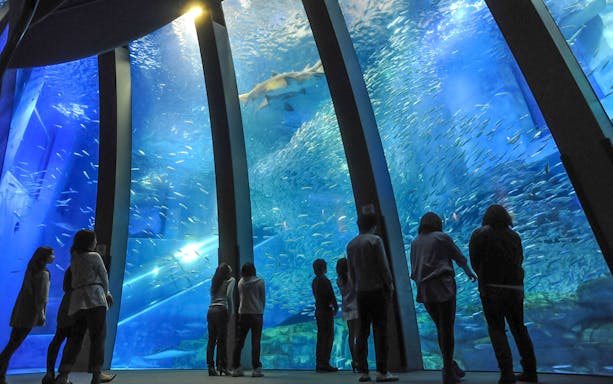 Visitors observing marine life at Hakkeijima Sea Paradise aquarium.