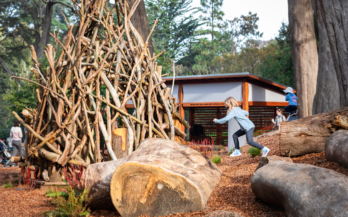 Children playing among logs and branches at WanderWoods, California Academy of Sciences.