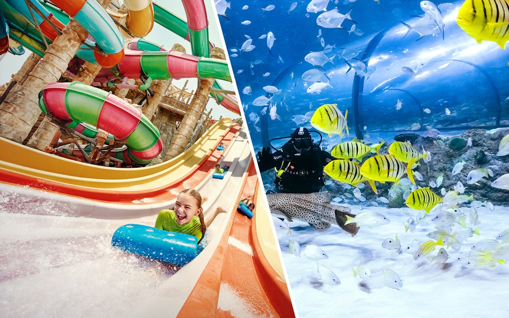 Water park slides and aquarium diving experience with colorful fish.