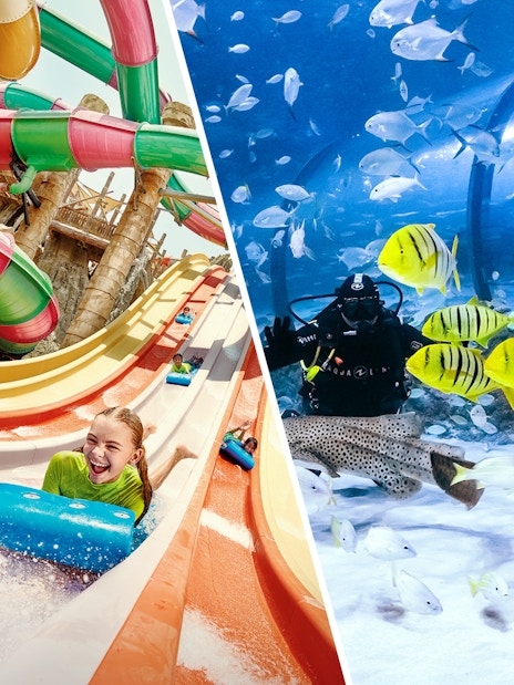 Water park slides and aquarium diving experience with colorful fish.