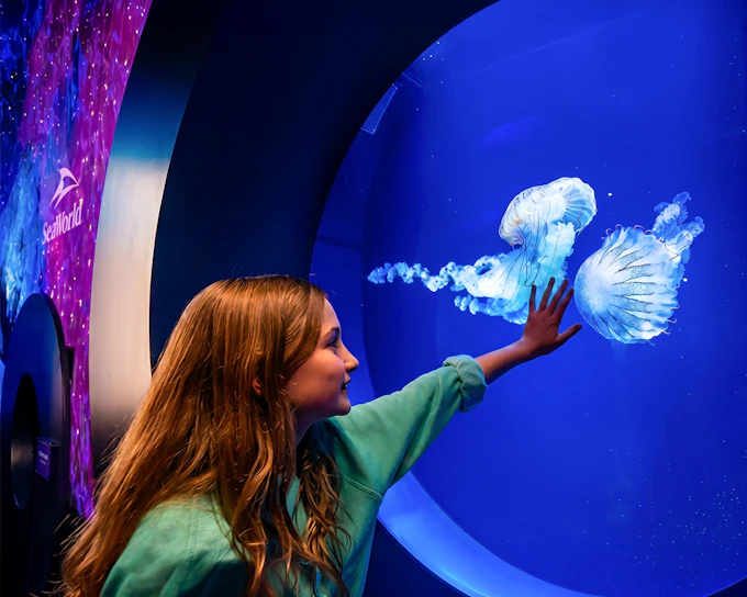 SeaWorld San Diego Fun Cards 2026