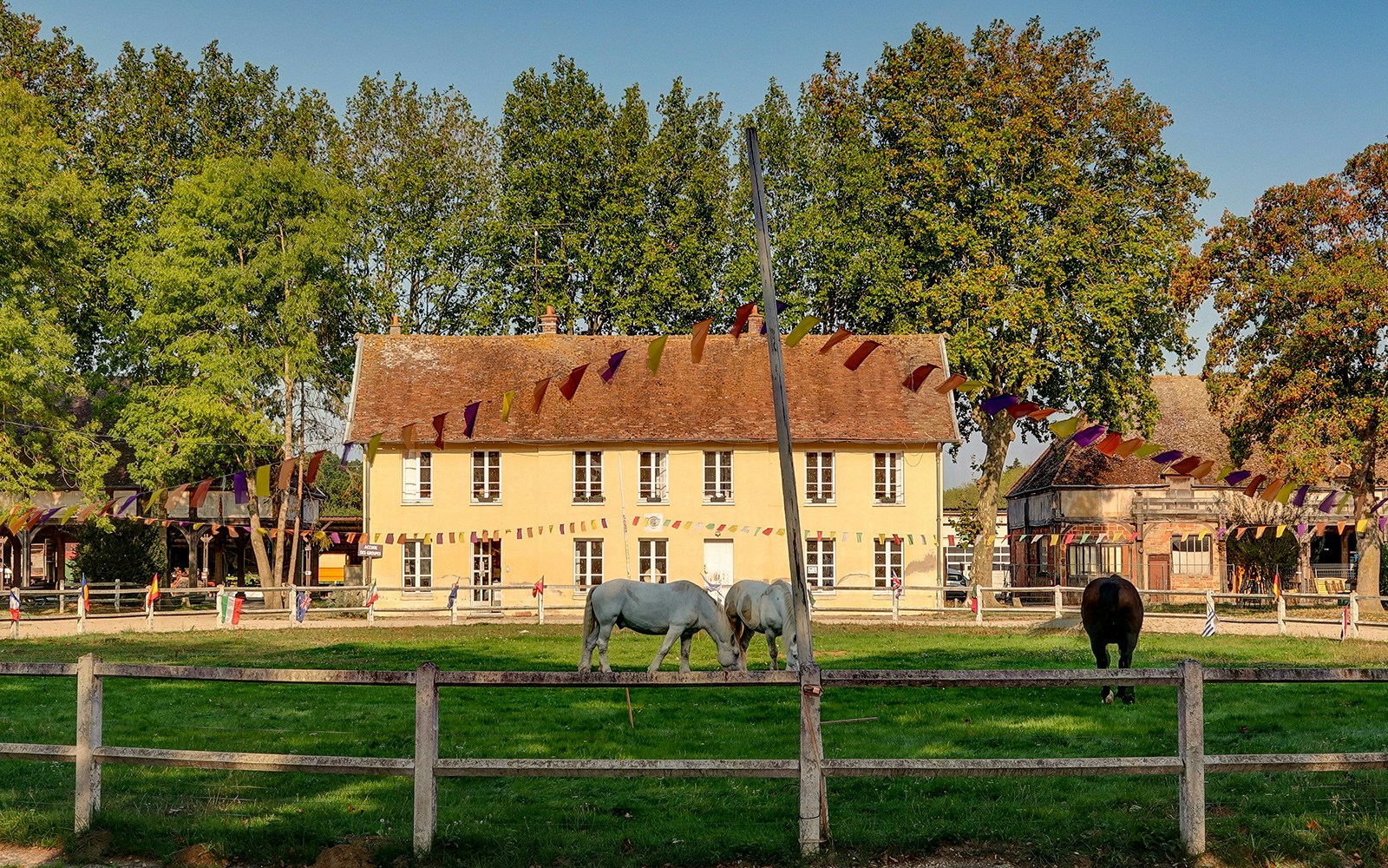 Bergerie Nationale De Rambouillet - Children's Farm