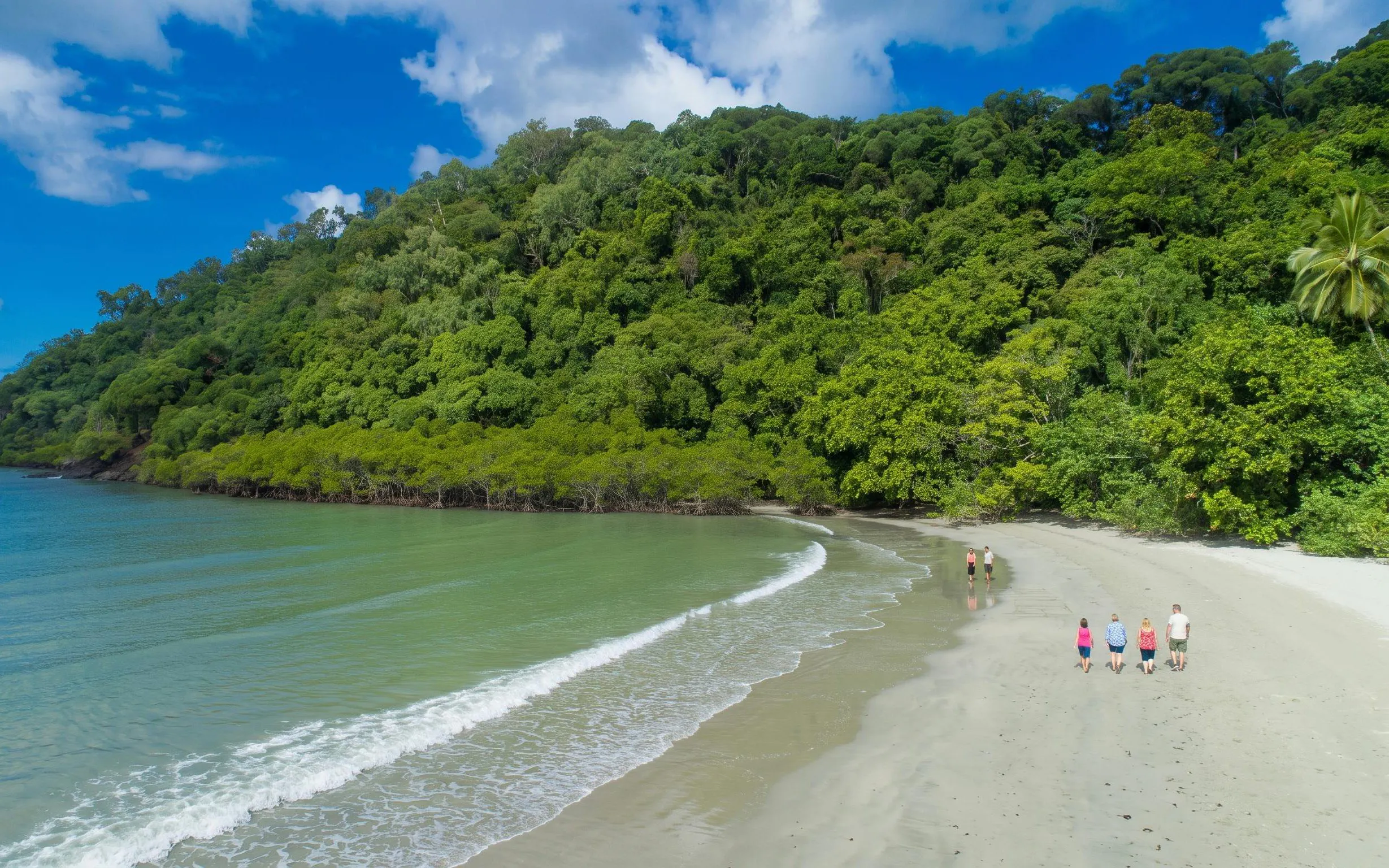 People walking on a sandy beach with lush rainforest backdrop in Daintree, Australia.