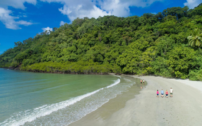 People walking on a sandy beach with lush rainforest backdrop in Daintree, Australia.