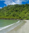 Cape Tribulation Beach
