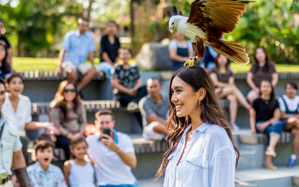 Woman smiling with a bird perched on her head at Bali Bird Park, audience in background.