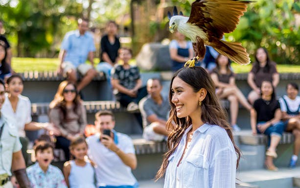 Woman smiling with a bird perched on her head at Bali Bird Park, audience in background.
