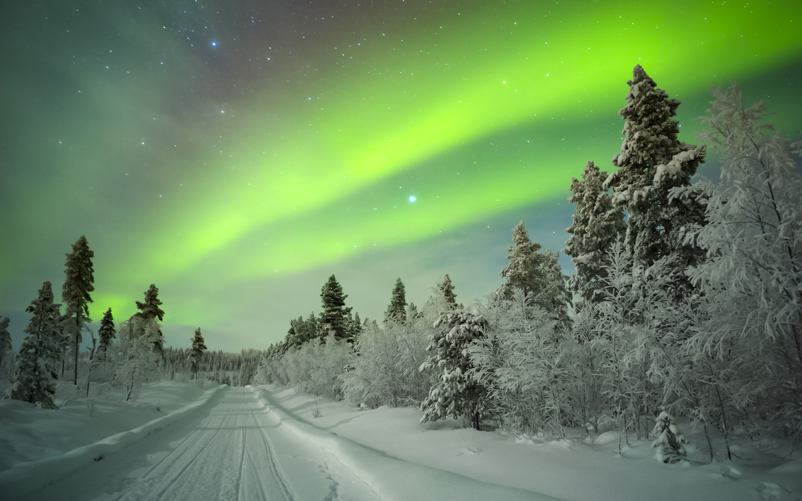 Northern Lights over snowy forest road in Levi, Finland.