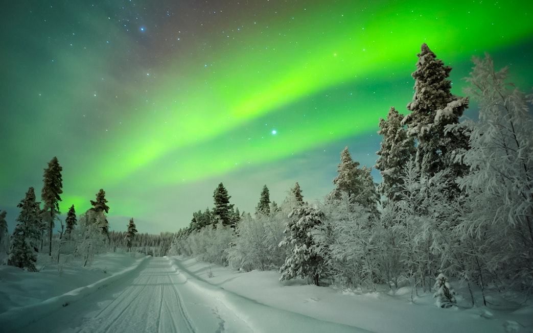Northern Lights over snowy forest road in Levi, Finland.