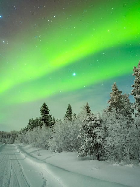 Northern Lights over snowy forest road in Levi, Finland.