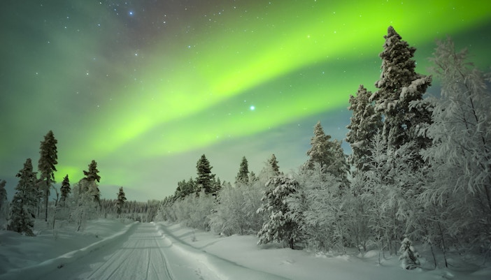 Northern Lights over snowy forest road in Levi, Finland.
