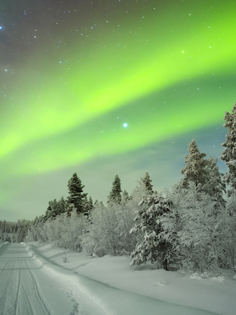 Northern Lights over snowy forest road in Levi, Finland.