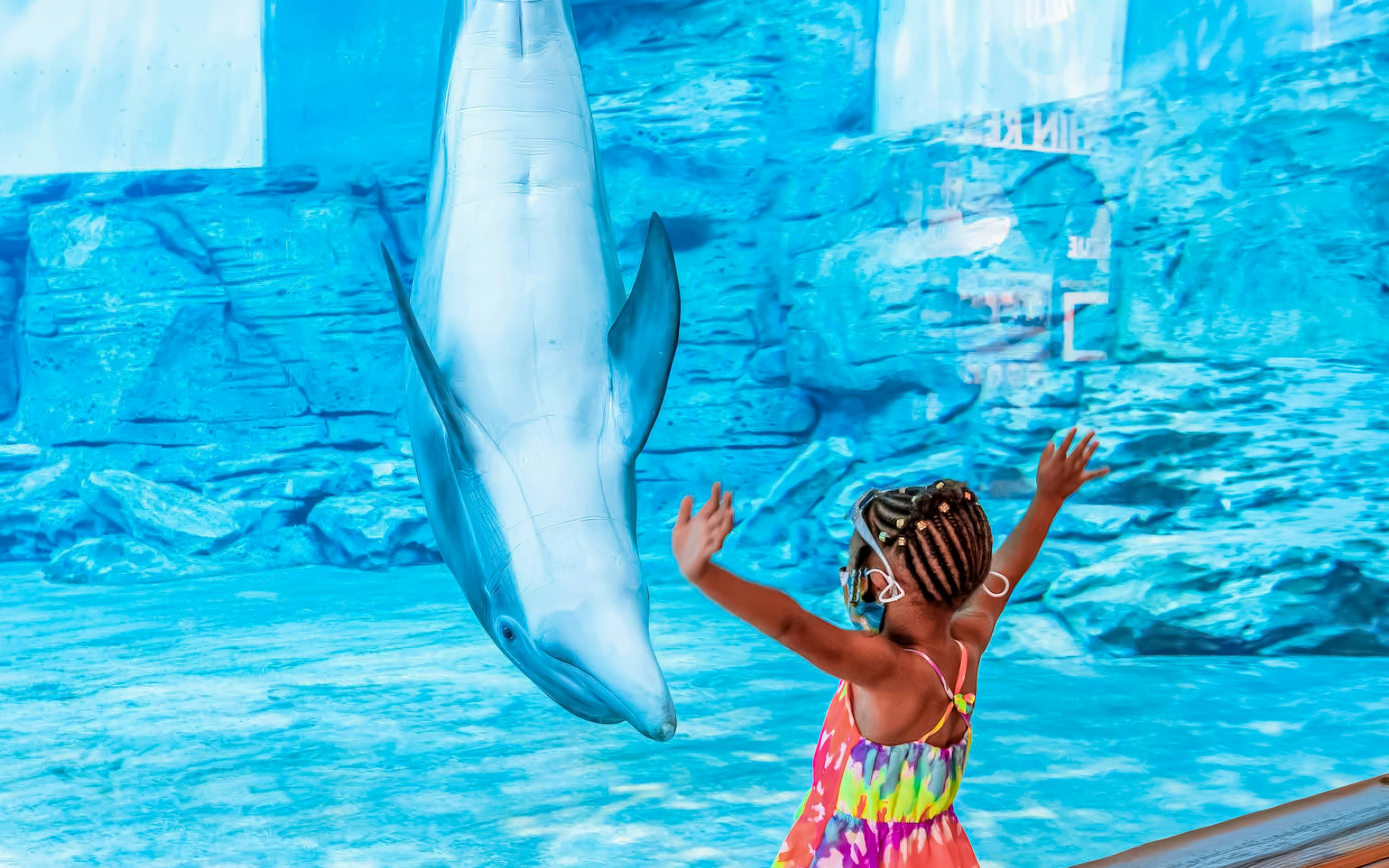 Child interacting with dolphin at Clearwater Marine Aquarium.