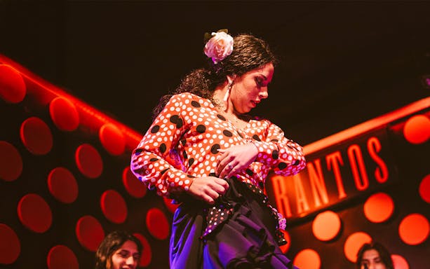 Flamenco dancer performing at Los Tarantos Flamenco Show in vibrant attire.