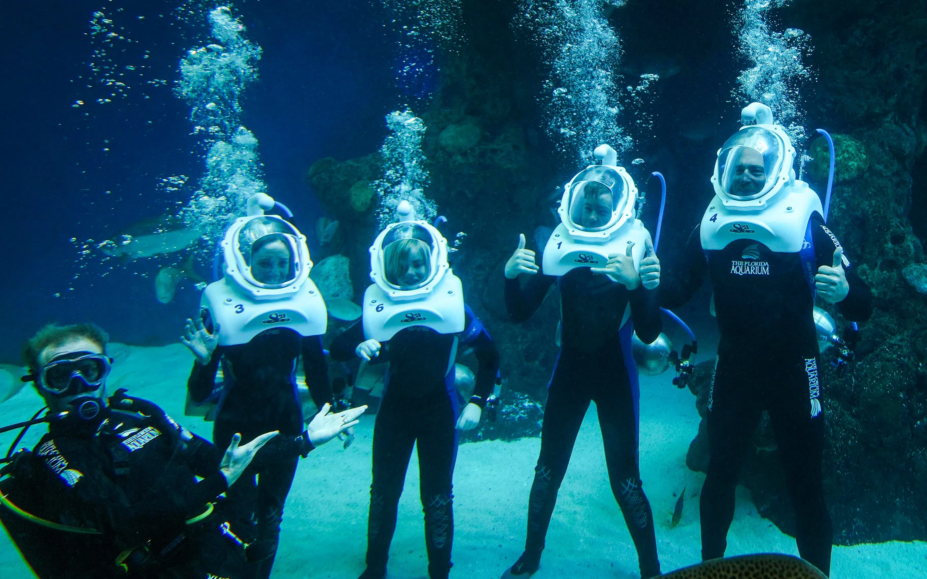 Visitors in diving helmets exploring an underwater exhibit at The Florida Aquarium, Tampa.