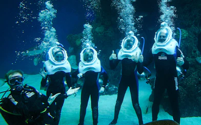 Visitors in diving helmets exploring an underwater exhibit at The Florida Aquarium, Tampa.