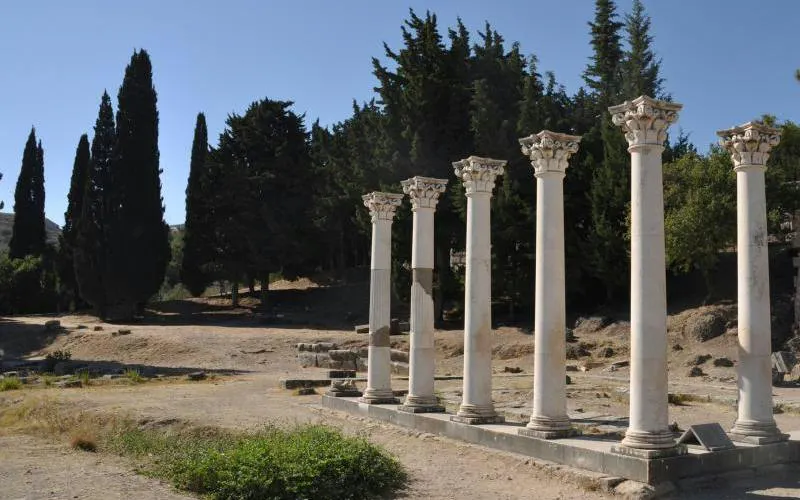 Ancient columns at Asclepieion, Kos with trees in the background, Rhodes tour.
