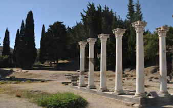 Ancient columns at Asclepieion, Kos with trees in the background, Rhodes tour.