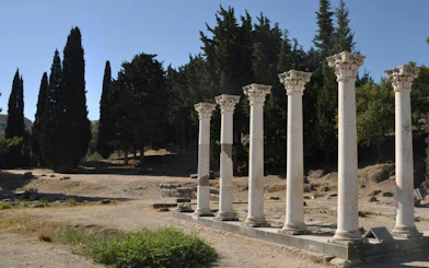 Ancient columns at Asclepieion, Kos with trees in the background, Rhodes tour.