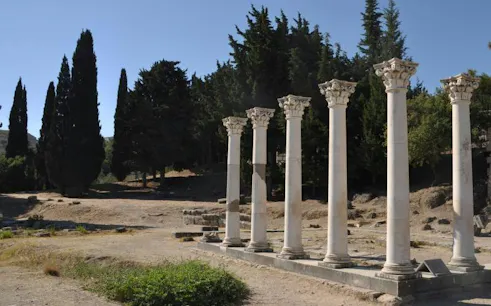 Ancient columns at Asclepieion, Kos with trees in the background, Rhodes tour.