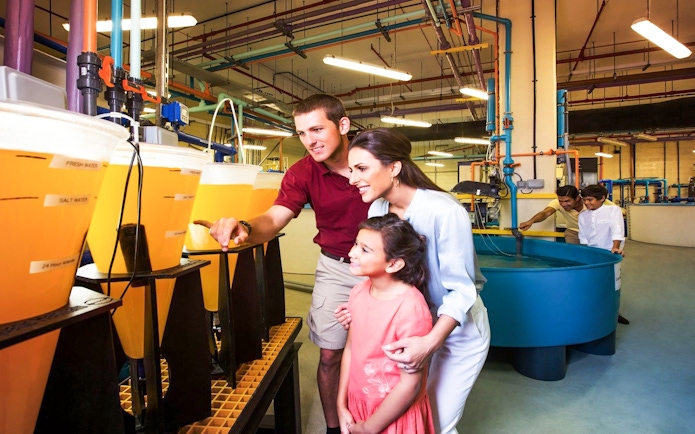 Family exploring aquaculture tanks on Atlantis Fish Tales Tour at Lost Chambers.