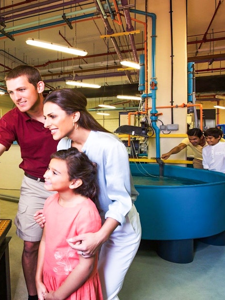 Family exploring aquaculture tanks on Atlantis Fish Tales Tour at Lost Chambers.