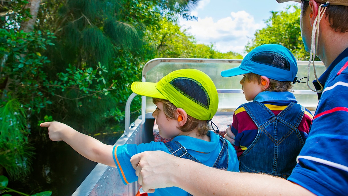 Timings of Everglades