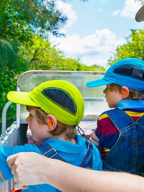 Children on an airboat tour in the Everglades, Miami, pointing at wildlife.