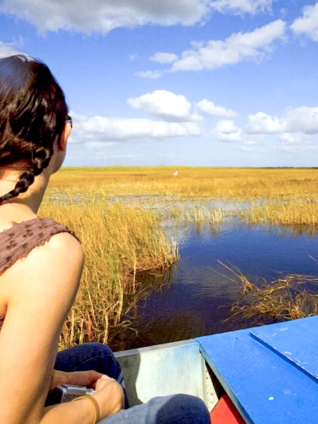 Person on airboat exploring Everglades National Park wetlands under blue sky.