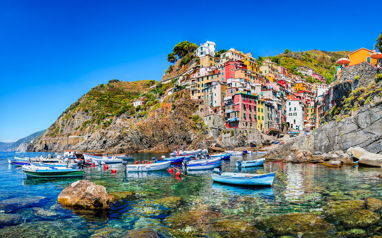 Colorful buildings and boats in Riomaggiore, Cinque Terre, Italy.