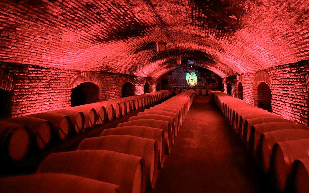 Wine barrels in the cellar at Marqués de Casa Concha, Concha y Toro winery.