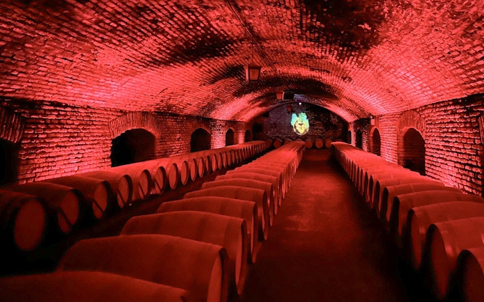 Wine barrels in the cellar at Marqués de Casa Concha, Concha y Toro winery.