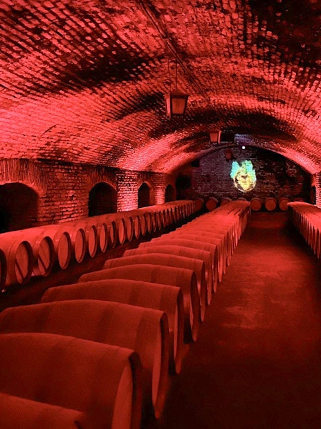 Wine barrels in the cellar at Marqués de Casa Concha, Concha y Toro winery.