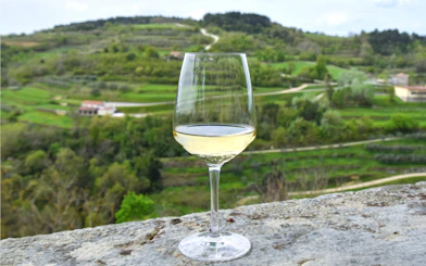 White wine glass on stone ledge overlooking green hills and roads in Croatian countryside.