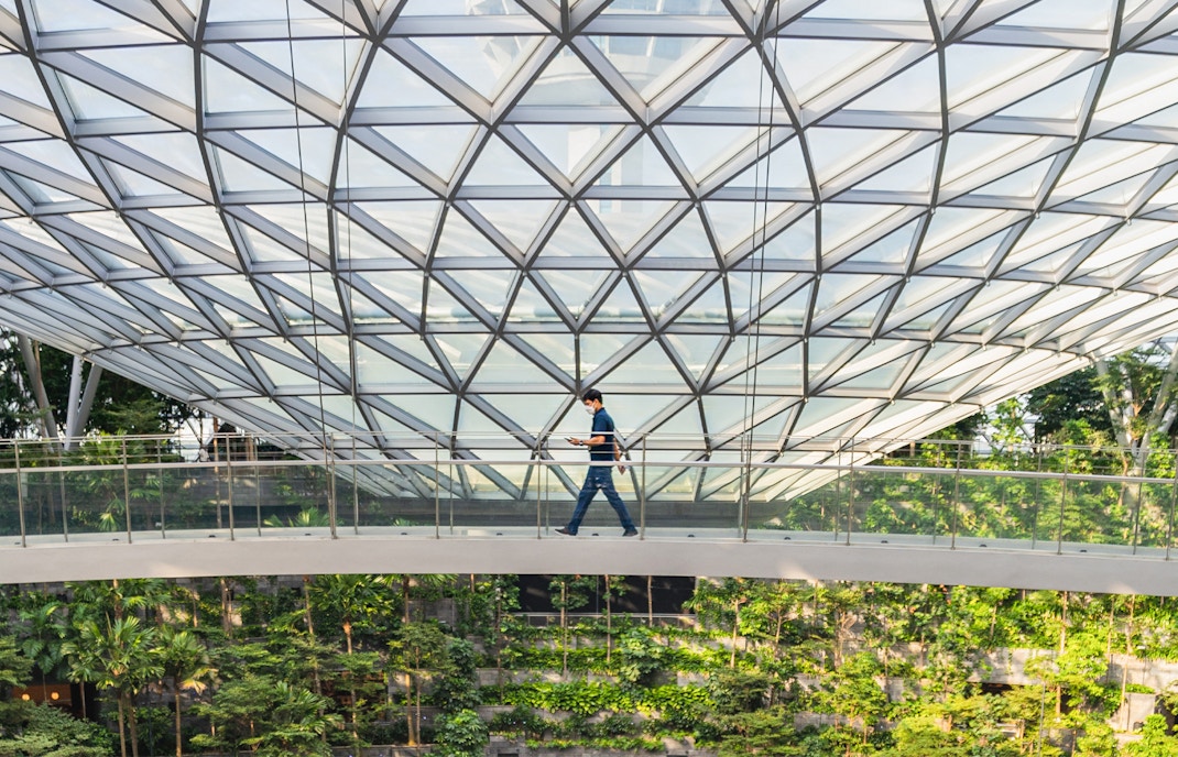 Best Time To Visit Canopy Bridge
