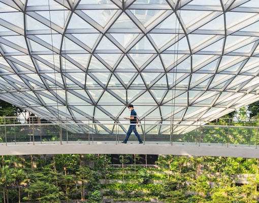 Man walking on the Canopy Bridge at Jewel Changi