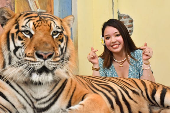 tiger kingdom tickets with private transfers-7