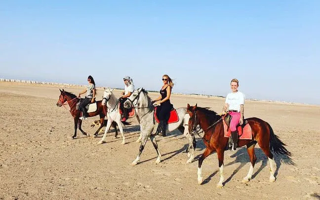 1 saatlik premium elit çöl at binme macerası - hurghada-8