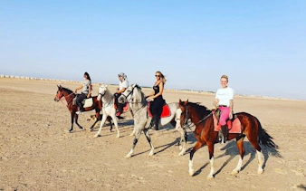1 saatlik premium elit çöl at binme macerası - hurghada-8