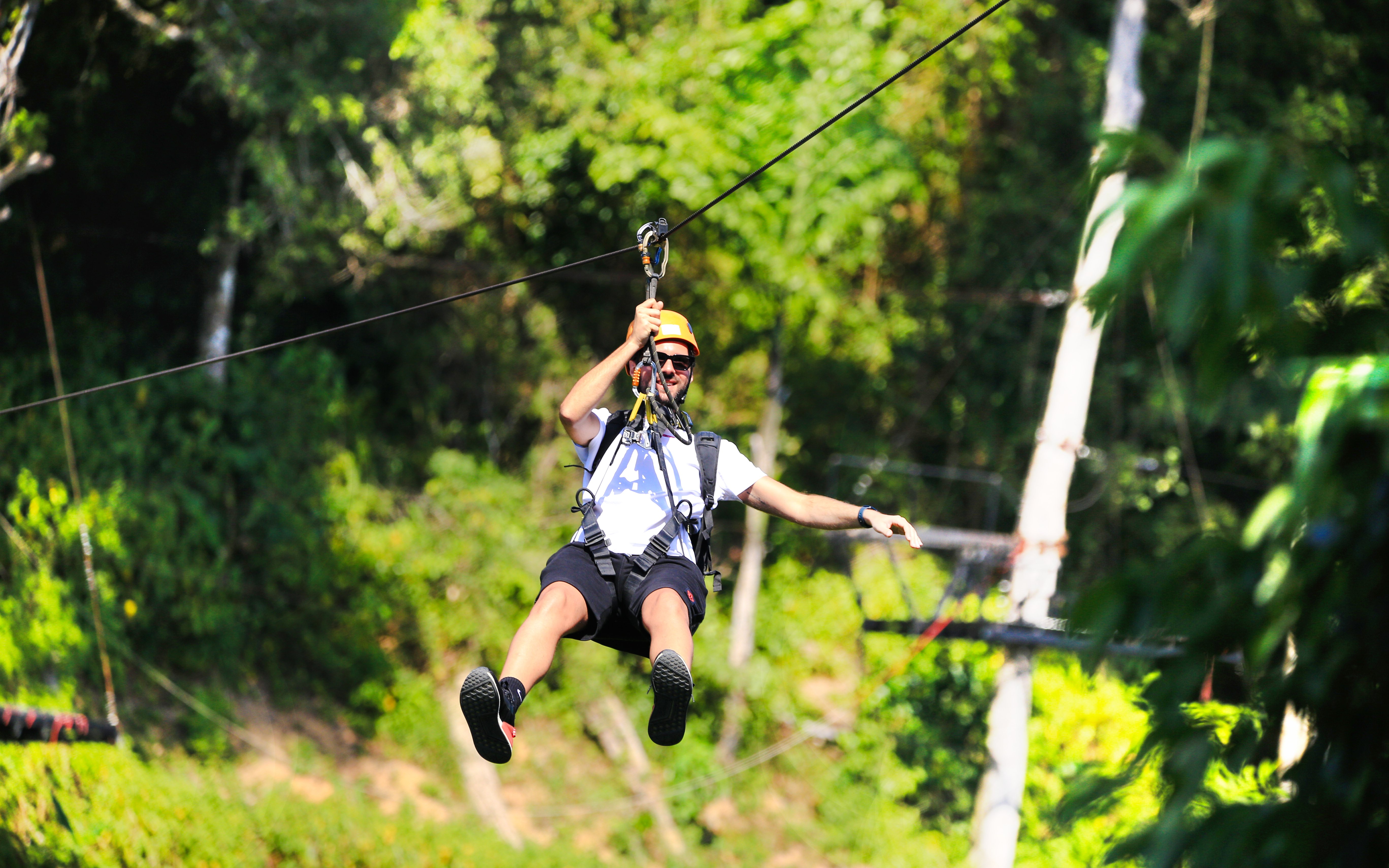 Man ziplining through lush forest canopy.