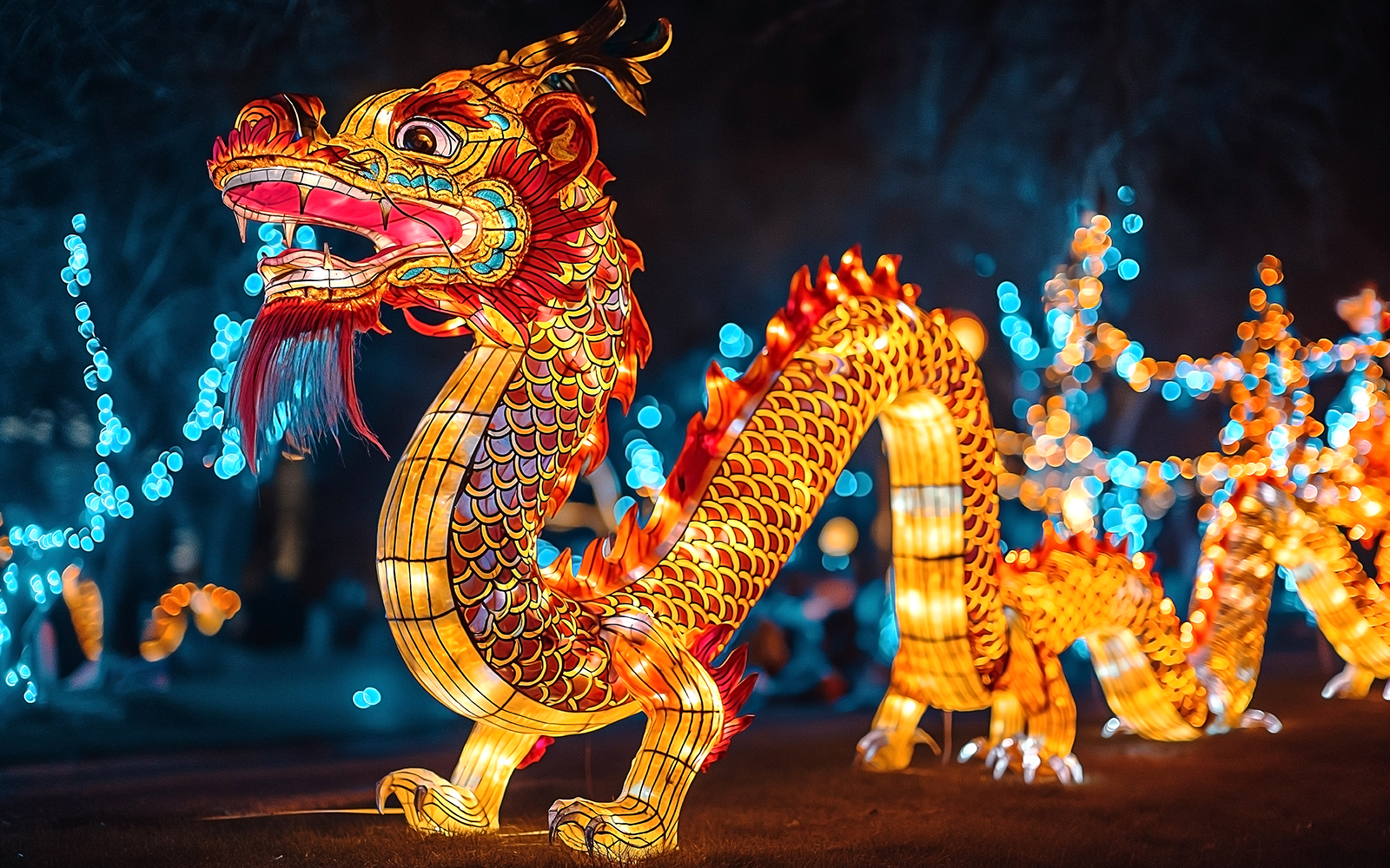 Chinese New Year Global Cultural Festivals in January