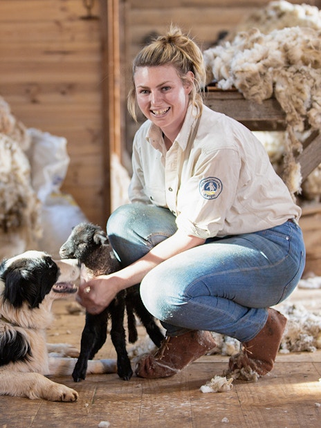 Ranger with sheepdog and lamb at Churchill Island farm.