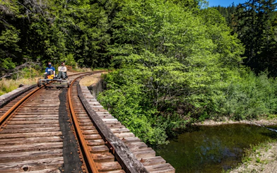 Guests riding rail bikes on Fort Bragg's Pudding Creek Express through lush forest scenery.