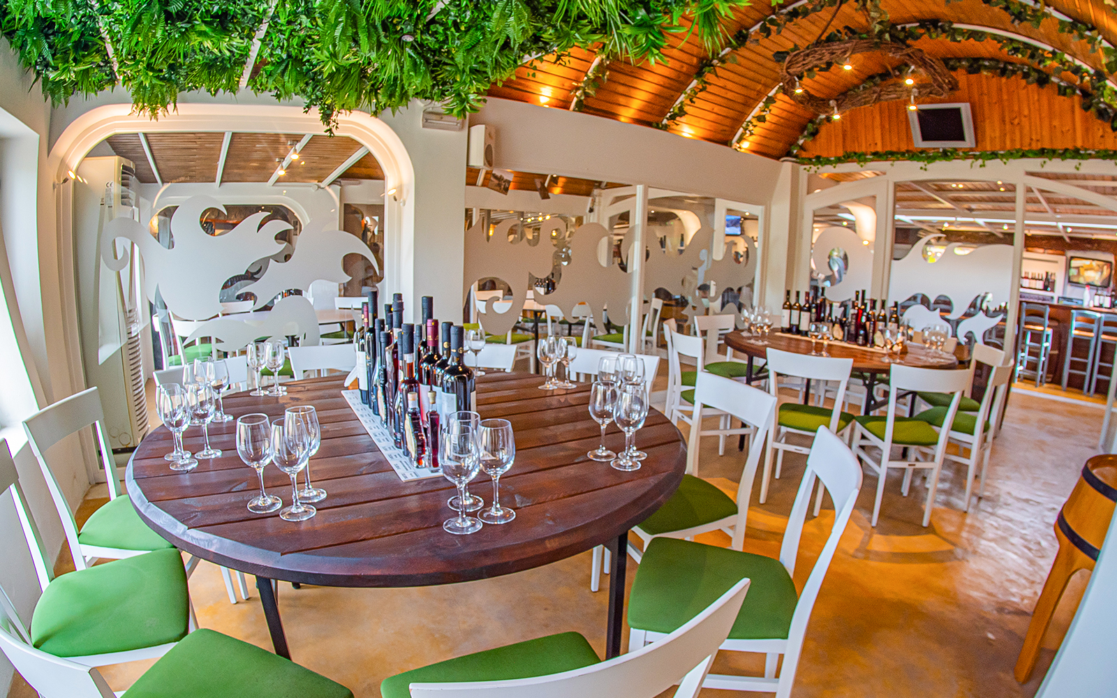 Santorini Volcano & Hot Springs