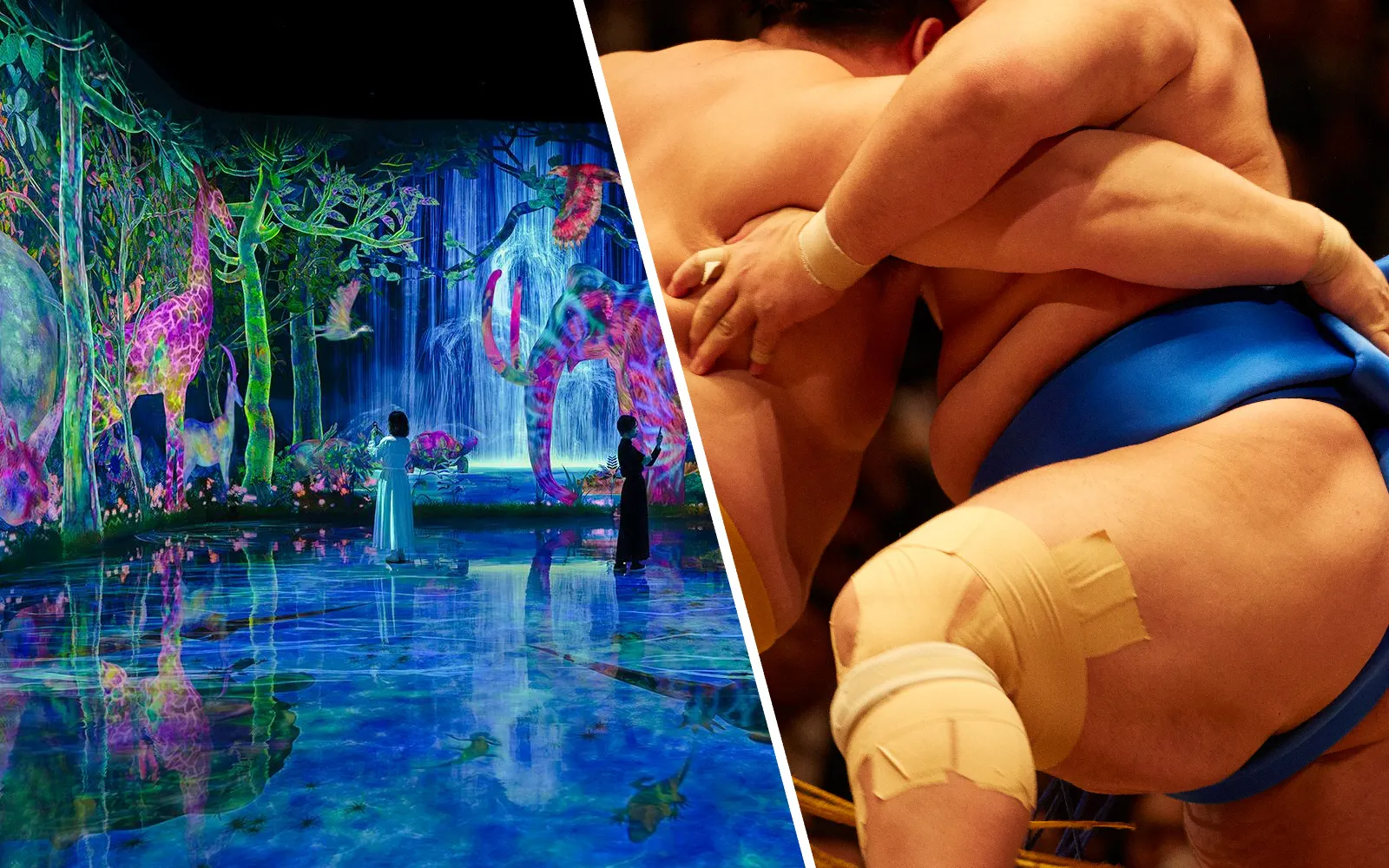 Interactive digital forest with colorful animals at teamLab Planets, Tokyo.